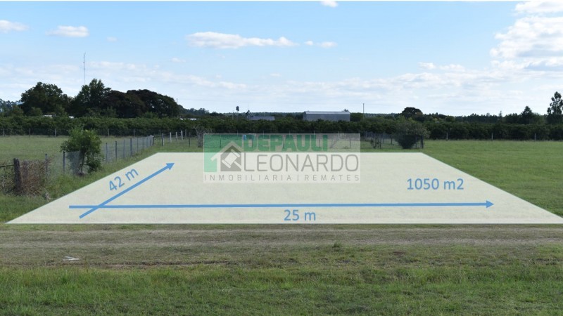 TERRENO ZONA NORTE - 1050M2